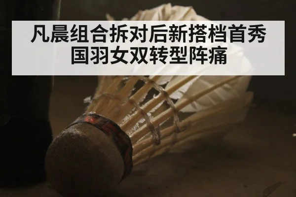 凡晨组合拆对后新搭档首秀 国羽女双转型阵痛